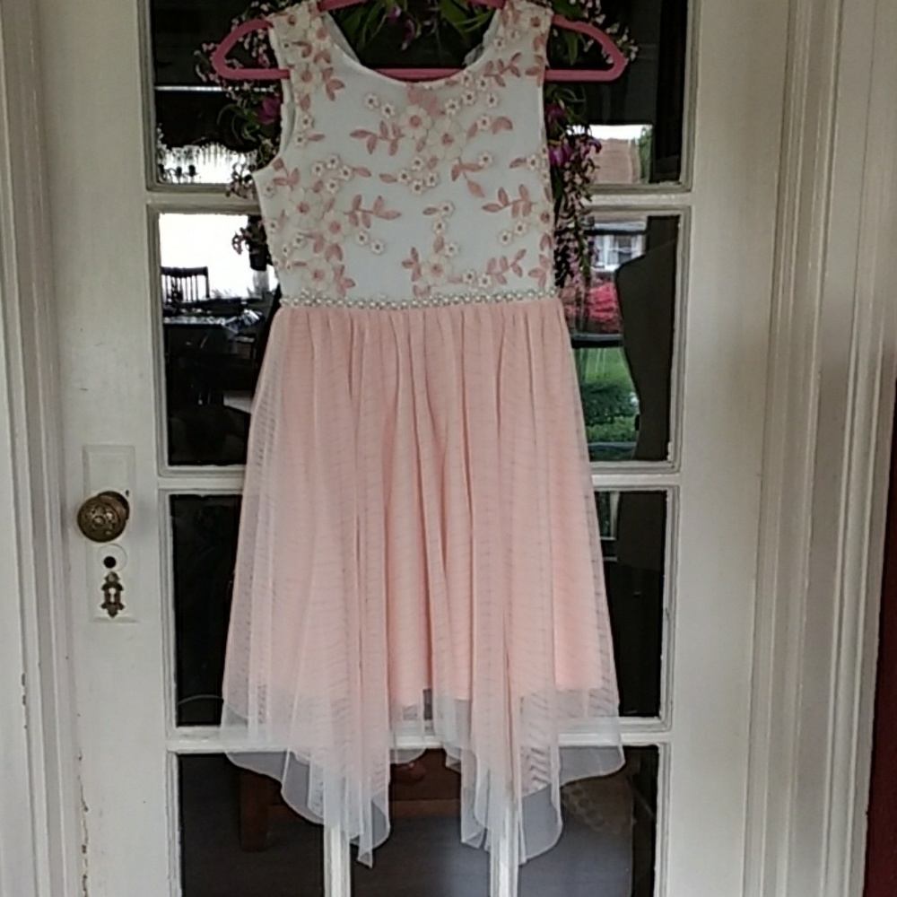 โHPโ๐๐๐ Beautiful Girl's Blush Pink Peach Dress - Picture 8 of 8
